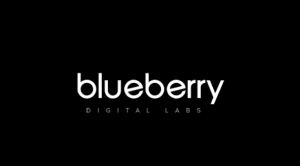Blueberry Careers